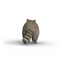 schleich WILD LIFE wasbeer 14937 productafbeelding 4