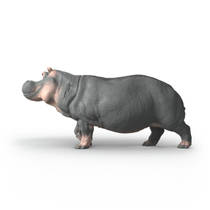 schleich WILD LIFE nijlpaard 14938 productafbeelding 2