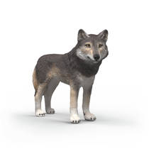 schleich WILD LIFE Amerikaanse wolf 14991