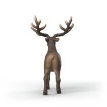 schleich WILD LIFE Amerikaans edelhert 14992 productafbeelding 4