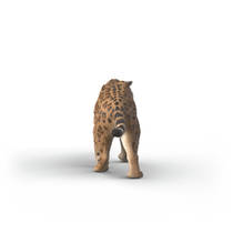 schleich DINOSAURS sabeltandtijger 15054 productafbeelding 4