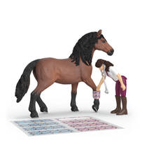 schleich HORSE CLUB paardenkliniek Helende Hoeven 42787 productafbeelding 5