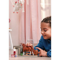 schleich HORSE CLUB Sofia's paardenwasplaats 42792 productafbeelding 10
