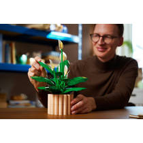 LEGO Botanicals lepelplant 11504 productafbeelding 6