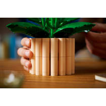 LEGO Botanicals lepelplant 11504 productafbeelding 5
