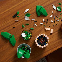 LEGO Botanicals lepelplant 11504 productafbeelding 4
