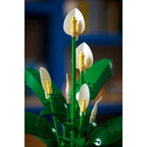 LEGO Botanicals lepelplant 11504 productafbeelding 3