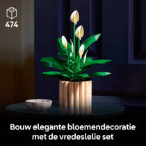 LEGO Botanicals lepelplant 11504 productafbeelding 2