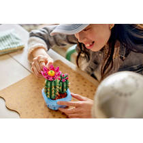 LEGO Botanicals bloeiende cactus 11509 productafbeelding 3