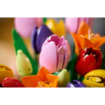 LEGO Botanicals boeket met tulpen 11501 productafbeelding 3