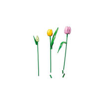LEGO Botanicals boeket met tulpen 11501 productafbeelding 7