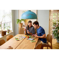 LEGO Botanicals boeket met tulpen 11501 productafbeelding 5