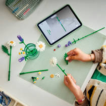 LEGO Botanicals madeliefjes 11508 productafbeelding 5