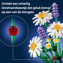 LEGO Botanicals madeliefjes 11508 productafbeelding 4