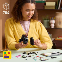LEGO Icons Hoe tem je een draak: Tandloos 10375 productafbeelding 2