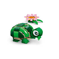 LEGO Creator 3-in-1 schildpad met waterlelie 31377 productafbeelding 7