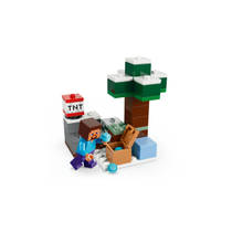 LEGO Minecraft Steve's Taiga-avontuur 21583 productafbeelding 6