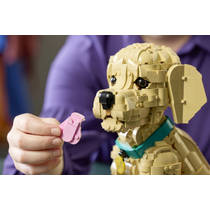LEGO Icons golden retriever puppy 11384 productafbeelding 8