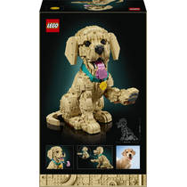 LEGO Icons golden retriever puppy 11384 productafbeelding 7