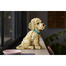 LEGO Icons golden retriever puppy 11384 productafbeelding 9