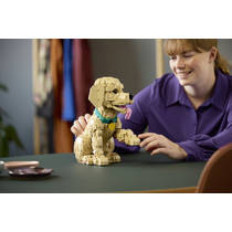 LEGO Icons golden retriever puppy 11384 productafbeelding 2