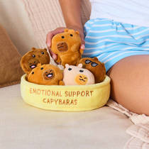Emotional Support Capybaras knuffeltjes productafbeelding 2