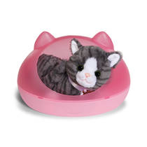BABY born Cookie de kat met mandje productafbeelding 7