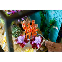 LEGO Icons tropisch aquarium 10366 productafbeelding 7
