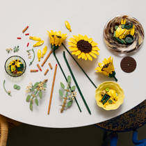 LEGO Botanicals boeket met zonnebloemen 11502 productafbeelding 2