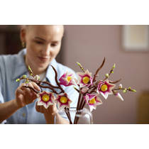 LEGO Botanicals magnoliatakken 11510 productafbeelding 2