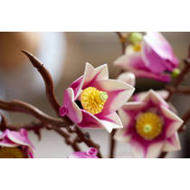 LEGO Botanicals magnoliatakken 11510 productafbeelding 8