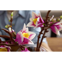 LEGO Botanicals magnoliatakken 11510 productafbeelding 6