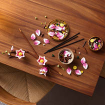 LEGO Botanicals magnoliatakken 11510 productafbeelding 3