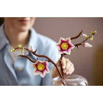 LEGO Botanicals magnoliatakken 11510 productafbeelding 4