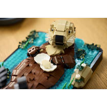 LEGO Ideas drijvende zeeotters 21366 productafbeelding 8