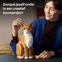 LEGO Ideas oranje kat 21376 productafbeelding 9