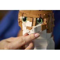 LEGO Ideas oranje kat 21376 productafbeelding 6