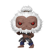 Funko Pop! figuur Street Fighter 6 Akuma hoofdafbeelding product