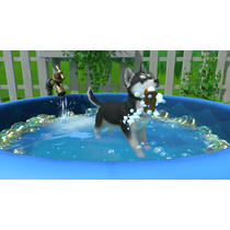 Little Friends: Puppy Island - code in a box Nintendo Switch productafbeelding 6