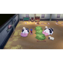 Story of Seasons: Grand Bazaar Nintendo Switch productafbeelding 6