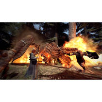 Dragon's Dogma Dark Arisen - code in a box Nintendo Switch productafbeelding 4