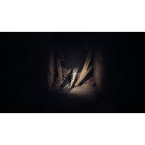 REANIMAL PS5 productafbeelding 10