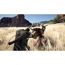 Crimson Desert PS5 productafbeelding 6