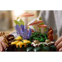 LEGO Botanicals bospaddestoelen 11505 productafbeelding 2