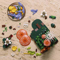 LEGO Botanicals bospaddestoelen 11505 productafbeelding 4