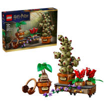 LEGO Harry Potter Zweinstein: Kruidenkunde planten 76474 hoofdafbeelding product