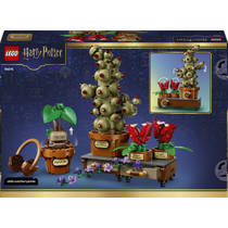 LEGO Harry Potter Zweinstein: Kruidenkunde planten 76474 productafbeelding 4