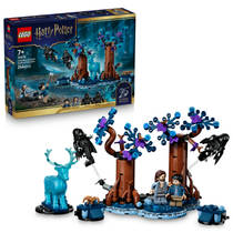 LEGO Harry Potter Verboden Bos: Expecto Patronum 76475 hoofdafbeelding product