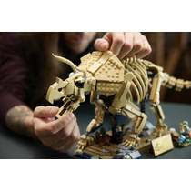 LEGO Jurassic World dinosaurusfossielen: Triceratops 77985 productafbeelding 4
