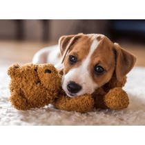 Ravensburger puzzel Cuddly Buddies - 500 stukjes productafbeelding 2